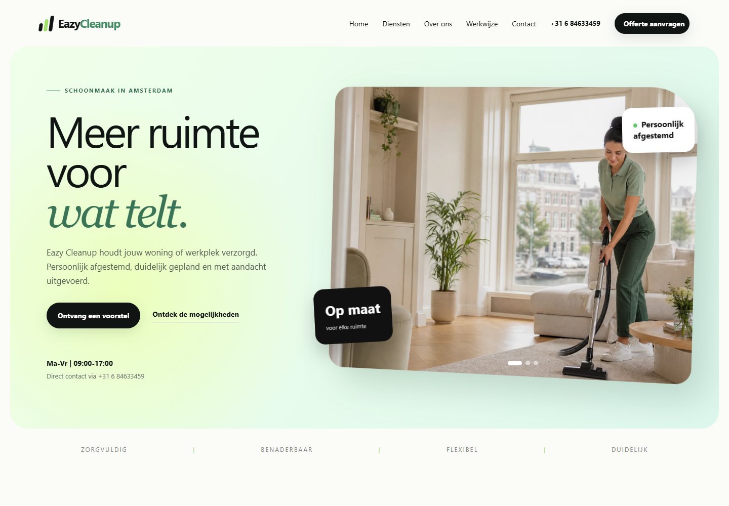 Eazy Cleanup NL website screenshot